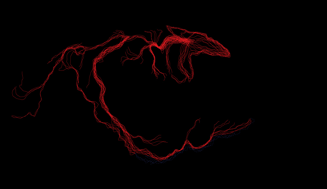 PROPAGACION-HUMANA-01fondo-negro