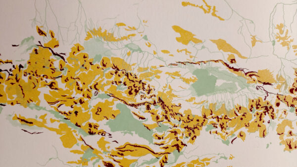ATLAS FORENSE DE ECOLOGÍA POLÍTICA SUDAMERICANA -Edición de 30 ejemplares numerados - Imagen 9